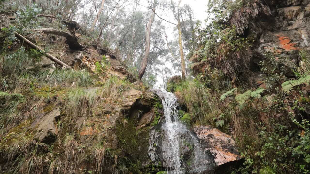 La quebrada Las Delicias recoge el agua que nace en los Cerros Orientales. Imagen: Comunicaciones. La quebrada Las Delicias recoge el agua que nace en los Cerros Orientales.