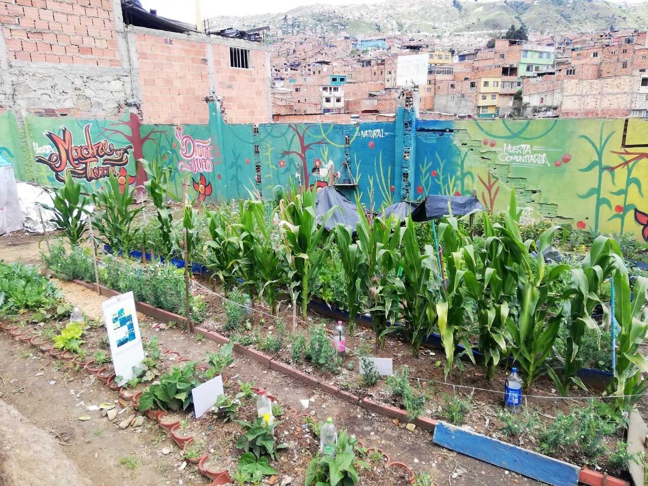 Cada una de las huertas del colectivo tiene un coordinador. Foto: Facebook Huerta Madre Tierra - Divino Niño. Huerta urbana