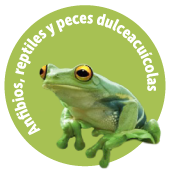 686 especies registradas, 55 amenazadas, 39 CITES, 367 endémicas Botón Anfibios