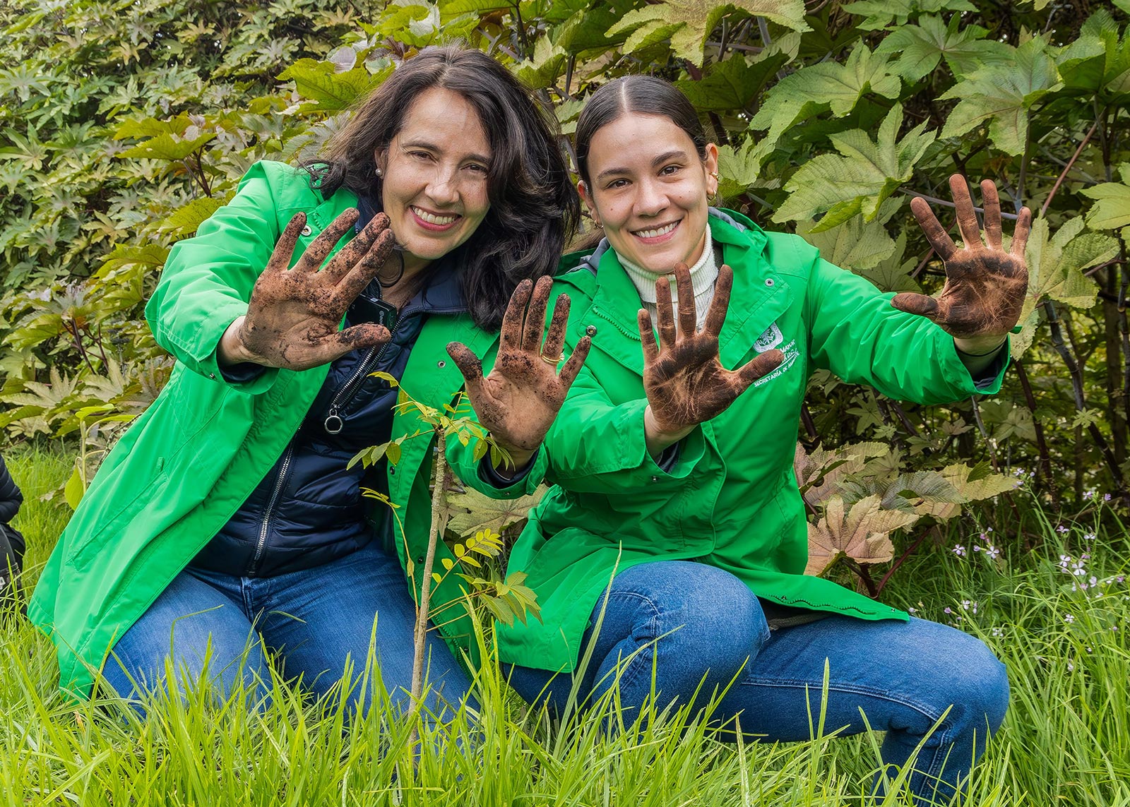 Plantaciones humedal Juan Amarillo