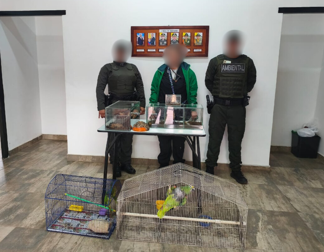 Bogotá recuperó 12 animales silvestres víctimas del tráfico ilegal durante la semana de receso